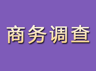 鸠江商务调查